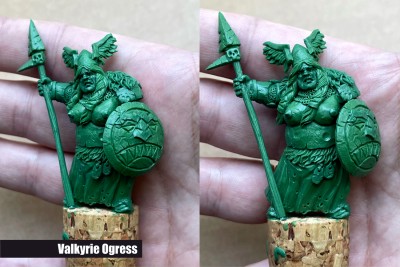 Valkyrie Ogress