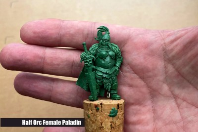 Half Orc Female Paladin